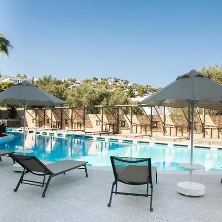 Queen By Important Group Travel Bodrum