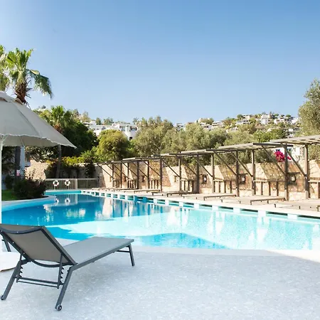 Aparthotel Queen By Important Group Travel 3*