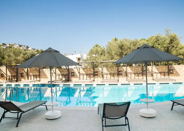 Hotel Queen By Important Group Travel 4*