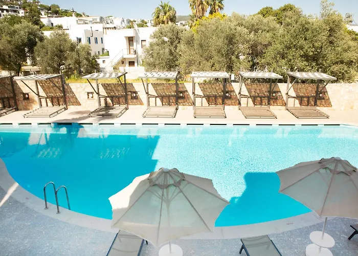 Queen By Important Group Travel Hotel